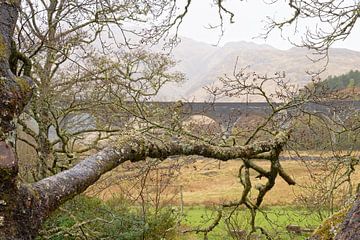 Schottland - Glennfinnan-Viadukt von Ronald Harmsen
