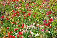 Wilde bloemen/ wild flowers van Ger Nielen thumbnail