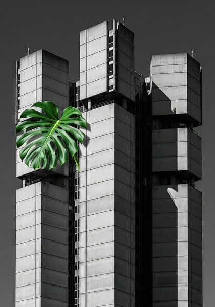 Monsterablad op betonnen gebouw van Markus Gann