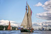 Traditionele schepen op de Elbe
