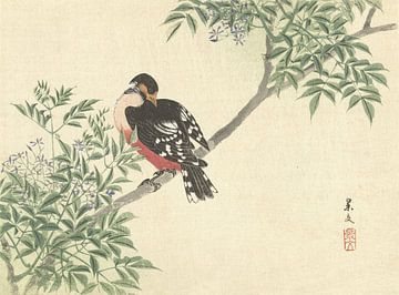 Zwart-rode vogel van Matsumura Keibun - 1892