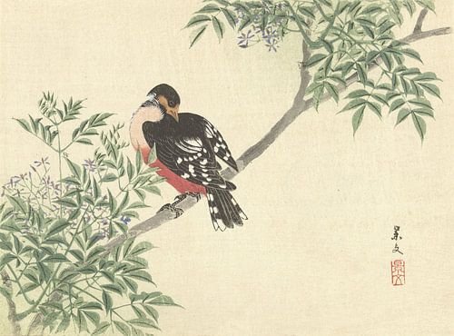 Schwarzer und roter Vogel von Matsumura Keibun - 1892