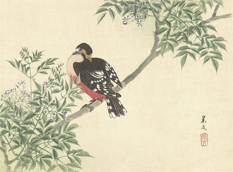 Oiseau noir et rouge de Matsumura Keibun - 1892 par Gave Meesters