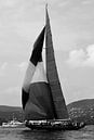 Segelboot Golf von Saint-Tropez von Tom Vandenhende Miniaturansicht