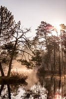 Winter landschap met mist en een meer