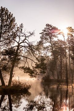 Winter landschap met mist en een meer van Evelien Oerlemans