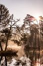 Winter landschap met mist en een meer van Evelien Oerlemans thumbnail