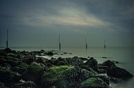 mysterie op het water by Robin Hardeman thumbnail