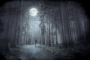 Forêt mystique de nuit