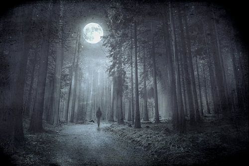 Mystical forest by night by Dirk Wüstenhagen