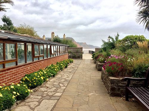 wonderful botanical garden at the Jurassic Coast in England