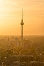 Berliner Fernsehturm von Robin Oelschlegel Miniaturansicht