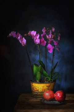 Stilleven met  cyclaam kleurige orchidee  en granaatappel. van Saskia Dingemans Awarded Photographer