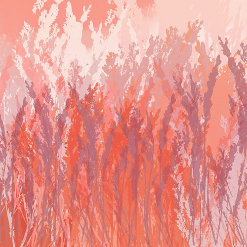 Gras in pastel paars, oranje, wit. Moderne botanische kunst.