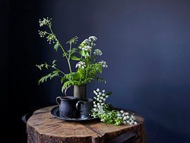 Still life with cow parsley [horizontal]. by Affect Fotografie