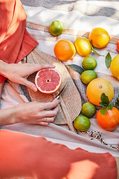citrus picnic by PGGYJNSSN PHOTOART