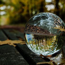 Herfst door een glazenbol van MaSlieFotografie
