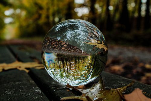 Autumn by a glass bulb