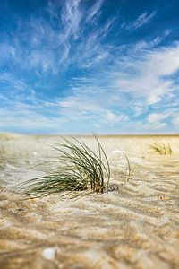 Der Strand Kwade Hoek in den Dünen von Goeree von Rob van der Teen