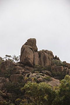 Freycinet National Park: Juwel der tasmanischen Ostküste von Ken Tempelers