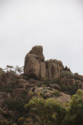 Freycinet National Park: Juweel van Tasmanië's Oostkust