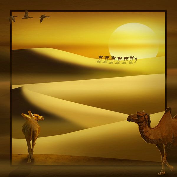 Kamelen in de woestijn II (vierkant) van Monika Jüngling