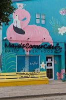 Street Art Bonaire
