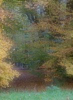 Herfst