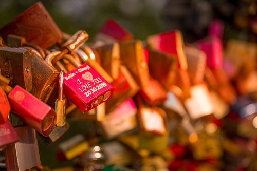 Love locks on the Hohenzollernbrücke: A Golden Ode to Love by Bart Ros