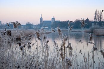 Sint-Janskathedraal in 's-Hertogenbosch