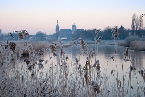Cathédrale Saint-Jean à Bois-le-Duc