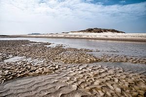 Strand Cadzand van Ellen Driesse