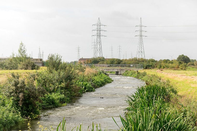 Vistrap Kerkhove von Richard Wareham