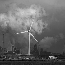 De ruige kust van Noord Holland van Zaankanteropavontuur