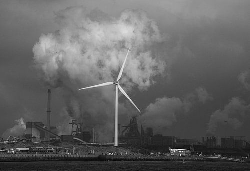 De ruige kust van Noord Holland
