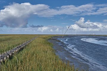 Tümlauer Koog,schiereiland Eiderstedt,Noord-Friesland,Duitsland van Peter Eckert