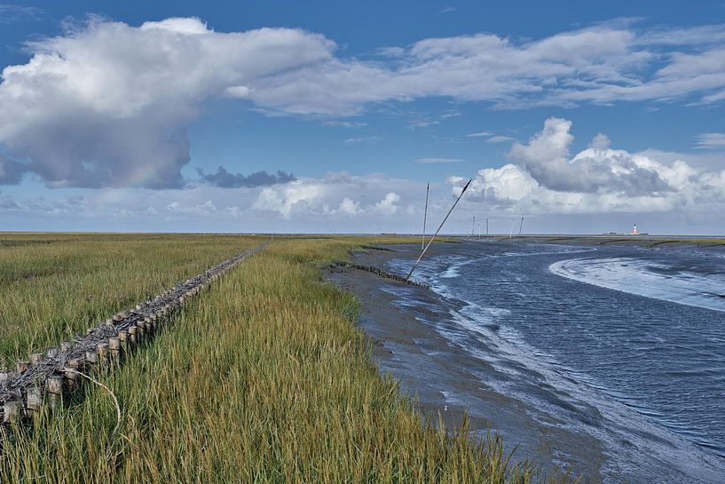 Tümlauer Koog,schiereiland Eiderstedt,Noord-Friesland,Duitsland van Peter Eckert