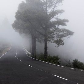 Straße im Nebel von Dustin Musch