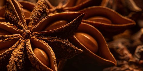 Panorama van in de keuken: Steranijs close-up