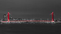 Rotterdam skyline with the Willemsbrug