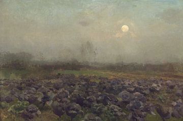 Coal field by moonlight, Florent Crabeels