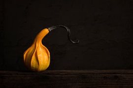 Stilleben mit orangem Kürbis von Elles Rijsdijk