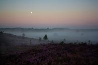Neblige Moorlandschaft bei Sonnenaufgang von Evelyne Renske Miniaturansicht