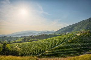 Prosecco-Hügel, Weinberge und das Dorf San Pietro di Barbozza