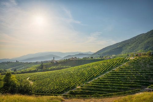 Prosecco heuvels, wijngaarden en San Pietro di Barbozza dorp