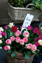 French roses in pink and white in Paris by Ivonne Wierink