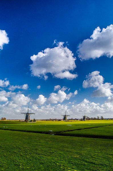 Die drei Mühlen in Leidschendam | Nieuwe Driemanspolder von Ricardo Bouman Fotografie
