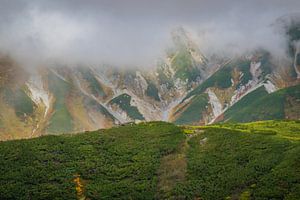 De Japanse alpen in het westen van Japan van Ineke Huizing