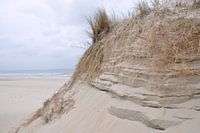 Duin aan zee