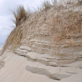 Düne am Meer von Vivian Kolkman